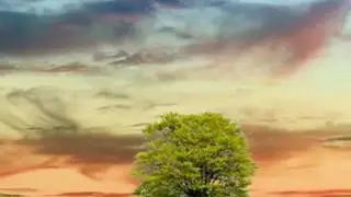 Yanni - November Sky