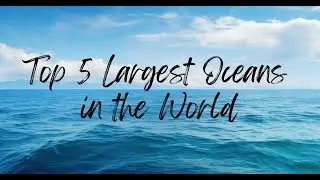 Oceans of the World  Learn About the 5 Oceans