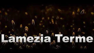 GENIUS LOCI - LAMEZIA TERME