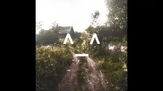 auratoshi - summer
