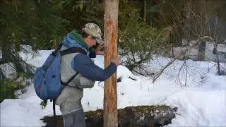 Squamish Critters - Fraser Legends Fishing March 2018