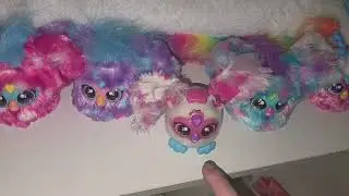 My Toy Collection Overview/Showcase! 