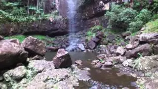 Protesters Falls - Nightcap National Park, NSW