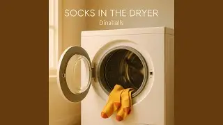 Socks in the Dryer