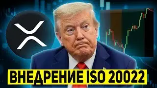 🚨 УСПЕЙ КУПИТЬ 1000 XRP ДО ВНЕДРЕНИЯ ISO 20022! RIPPLE НАЧНЕТ ДОМИНИРОВАНИЕ В НОЯБРЕ 2025 ПРОГНОЗ
