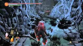 [Dark Souls 3] Black Knight vs Knight Slayer Tsorig