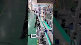 Multifunctional Automatic Labeling Machine for Boxes' Top Tabeling and Side Sealing