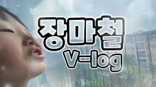 비올땐 파전인데
