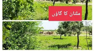 village beauty in Multan village ❤️#village #villagevlog