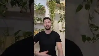 The Reset Breath