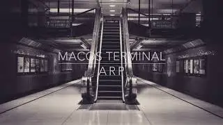 macOS Terminal - arp