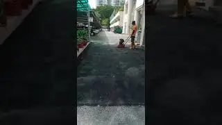 Taman Jubilee Phase 5 Block 27, Taman Jubilee, 11900 Bayan Lepas, Pulau Pinang