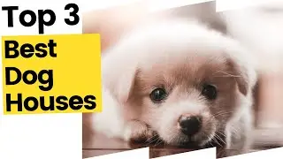 The Best Dog Houses to Fit Your Pup and Outdoor Space in 2023