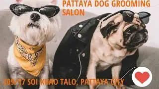 PET CLOTHING & FASHION SHOP IN PATTAYA CITY, THAILAND - SHIRTS, JACKETS, BAGS, BEDS & ACCESSORIES.