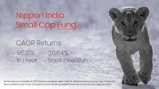 Nippon India Small Cap Fund | November 2021