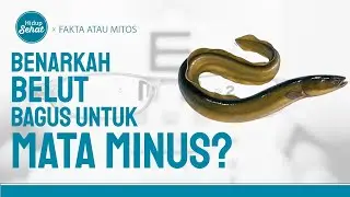 Belut Baik Untuk Mata Minus? Kenali Beragam Manfaat Makan Belut! | Hidup Sehat tvOne