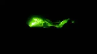 Loki Magic Effect Green Screen|Loki Magic Effect Black Screen|Loki Magic Effect Blue Screen Vfx|