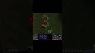 7 muta vs 7 muta 4 scourge #gaming #broodwar #starcraft #impossible