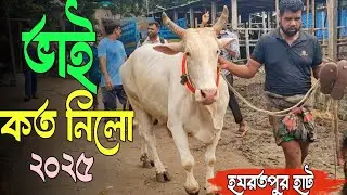 Bhai Koto Nilo 2025?🐂 Hazratpur Gorur Haat 2025 | Qurbani Cow Price 2025 Today | Part-48