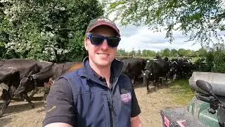 КАК МЫ УХАЖИВАЕМ ТРАВУ НА ПАСТБИЩНОЙ ФЕРМЕ НА 450 МОЛОЧНЫХ КОРОВ!!!