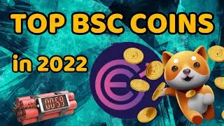 evergrow coin news today | baby doge billionaire