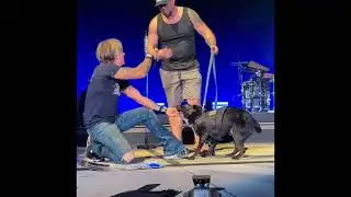 @KeithUrban brings PTSD Service Dog Maverick (@mavericktheptsdpup) onstage in Denver 7/17