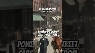 The BRUTAL Heat Wave That Brought NYC To Its Knees #1901heatwave