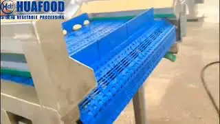 Garlic Paste Processing Line