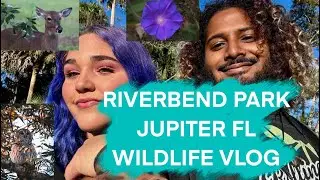 Spotting Owls at Riverbend Park | Wildlife Vlog