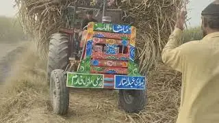 Sugarcane trolley pulling out #tractorvideo #vlog #sugarcanetrolley #video #tractorvideo 