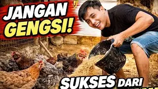 JANGAN GENGSI! Belajar Sukses dari Kandang Ayam | Motivasi Hidup Sederhana