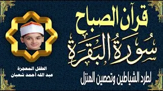 قرآن الصباح | سورة البقرة Surat_Al_Baqarah| طرد الشياطين وتحصين المنزل🌹💛 الطفل المعجزة عبدالله شعبان