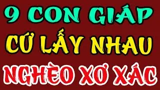 9 CẶP CON GIÁP KẾT HÔN PHẠM XUNG KHẮC, CÀNG SỐNG CÀNG KHỔ, LÀM BAO NHIÊU CŨNG THIẾU