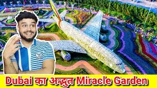 Dubai का अद्भुत Miracle Garden 😱 | Awesome Miracle Garden Of Dubai | #shorts 134 | RealTechz Facts 🔥