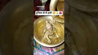 duniya se mai hara 🥺🙏🌺 #shotsfeed #trendingshorts #ladugopal #bhaktichannel #vrindavandham
