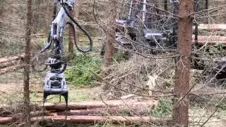 Malwa 560F