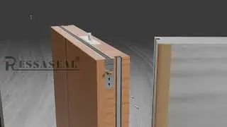 Pivot Door with Automatic Door Bottom Seal and Magnetic side seal Application Display