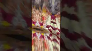 SHUKRAVAR DEVI AVATAR PALAKI UTSAV DWADASHI SHRI DATTADARSHAN श्रीक्षेत्र गणगापुर निर्गुणमठ30-1-26