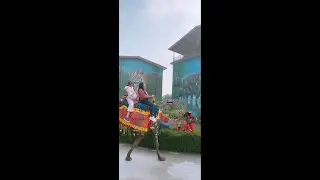 Anantum Gateway Resorts | Luxury Resorts in Jim Corbett