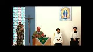 Father Michael DePalma's Homily for the 16th Sunday in Ordinary Time 2021