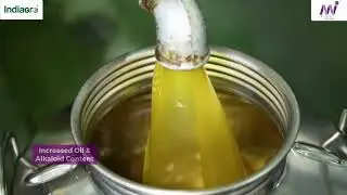 *MI LIFE STYLE  Indiagro Grow Magic Advance- Hindi ग्रो मैजिक 