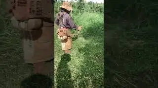 Tet m&agrave;y husvana 143 với 541