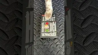 Bengal cat opens a PopMart Almost Hidden Labubu blind box #bengalcat #shorts #cutecat #labubu #toys