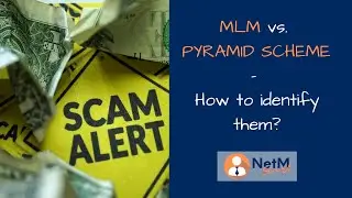 MLM vs. Pyramid Scheme - Main Differences between Legit Network Marketing and Ponzi Schemes