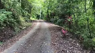 Part 1 - Strolling to Mount Berembun
