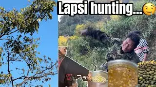 Organic lapsiko achar recipe…!! Village life…!!