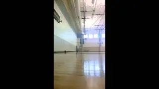 Vert shock progress after week 4