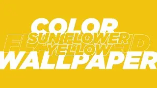 Sun Flower Yellow Flat Solid Color Wallpaper 1 Hour