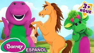 Animales con Talentos | Lo Mejor de Animales | VIDEO NUEVO | Barney en Español