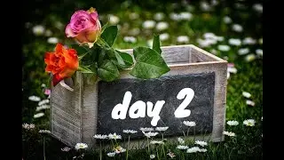 Magic book in Tamil || day 2 || Magic Rock || Magic book series